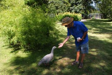 Bird Garden at Katikati