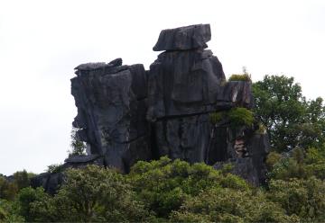 Hikurangi