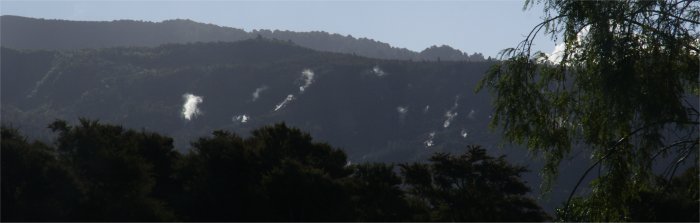 Steaming hillside near Tokaanu