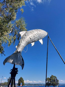 Big Fish at Taupo